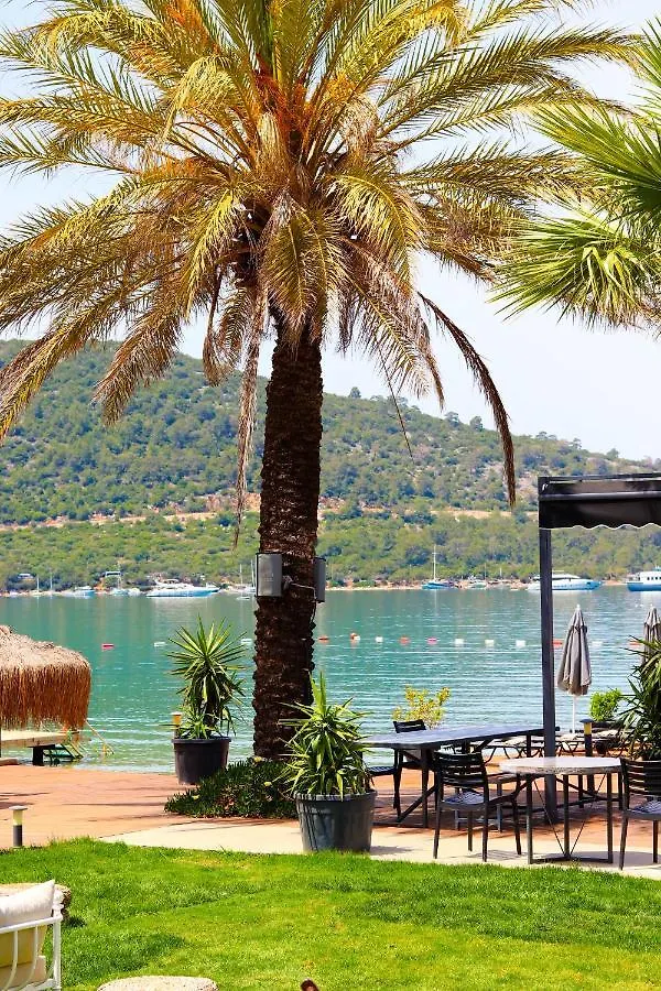 Moyo Luxury Hotel & Beach Bodrum 3*,  Törökország